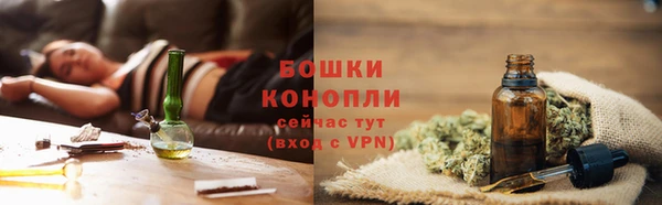 гидра Ладушкин