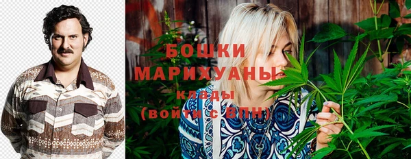 гидра Ладушкин