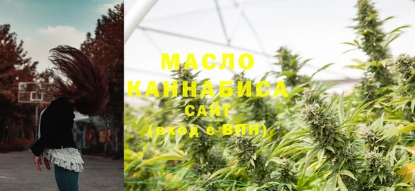 гидра Ладушкин
