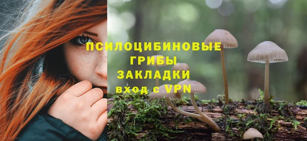 mdpv Инсар
