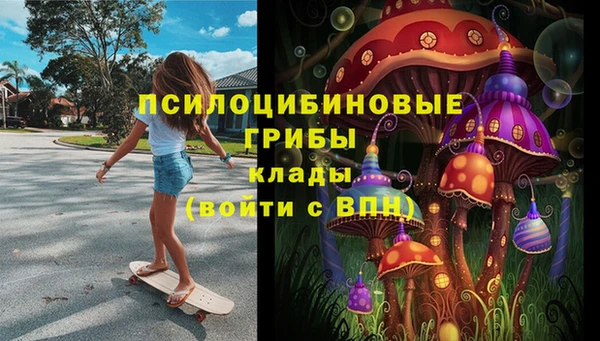 сатива Майский