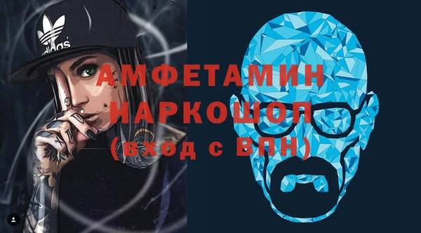 индика Медногорск