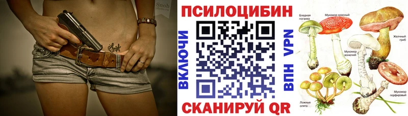 магазин продажи   Данилов  Галлюциногенные грибы GOLDEN TEACHER 